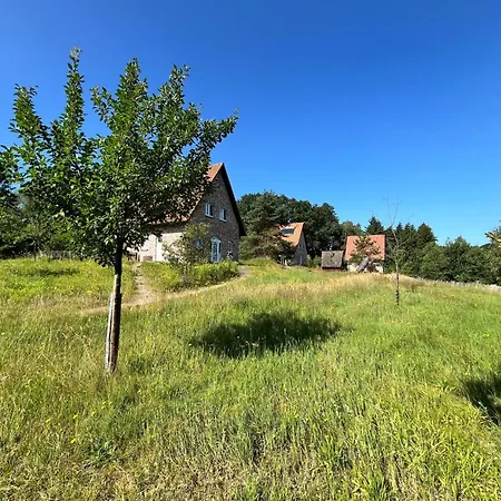 Haus Weissdorn Im Bispinger Heidezauber By Interhome Ferienhaus Bispingen